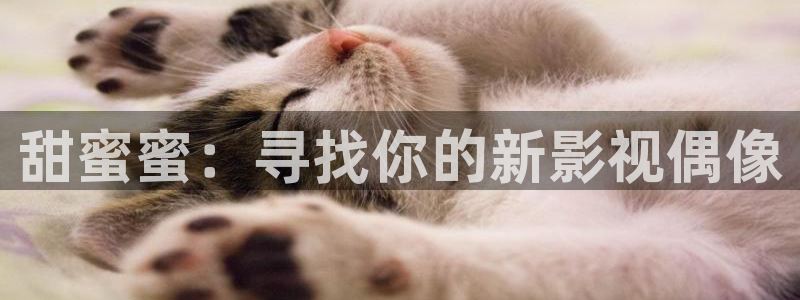 4080私人yy影院